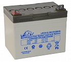 LEOCH Battery LPCG 12-30 аккумуляторная батарея