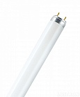 Osram L 18/640 (ЛБ-18) G13 лампа люминесцентная