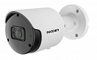 SSDCAM IP-713S IP видеокамера