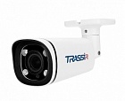 Trassir TR-D2123ZCL6 2.7-13.5 уличная FTC IP-камера для полноцветной ночной съемки 2.7-13.5 мм
