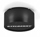 STELBERRY F-306B потолочно-настенный громкоговоритель на 6 Ватт, черный