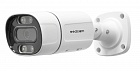 SSDCAM IP-129FC IP-видеокамера уличная