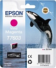 Epson T7603 картридж пурпурный C13T76034010